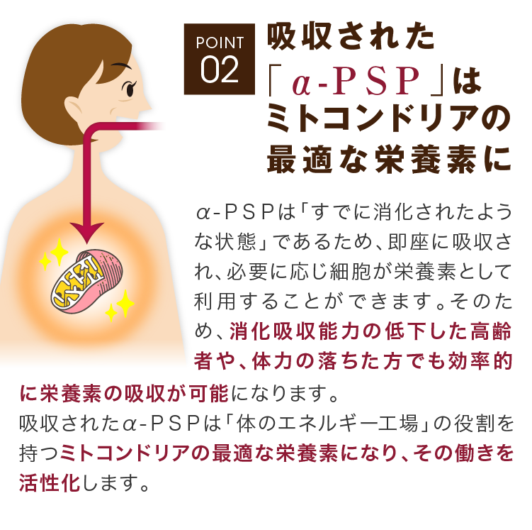 吸収された糖の燃焼を促進し、エネルギーに変えるライスベリーパウダー